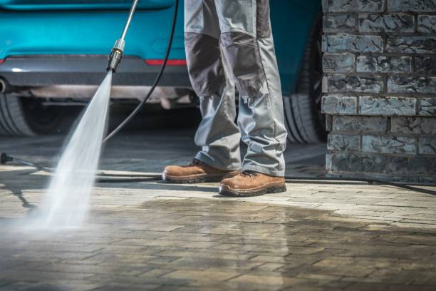 Best Fleet Vehicle Washing  in Ruhenstroth, NV